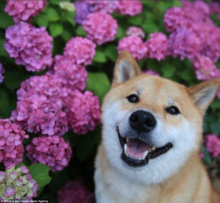 no title