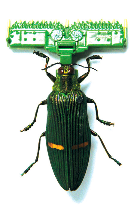Mower