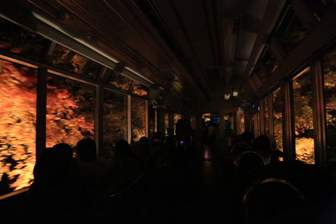8M8A7019