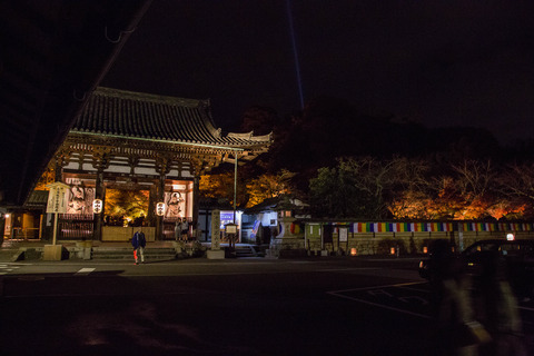 20151119-8M8A1710
