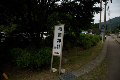 8M8A7837 - 2016-05-27 12-41-40