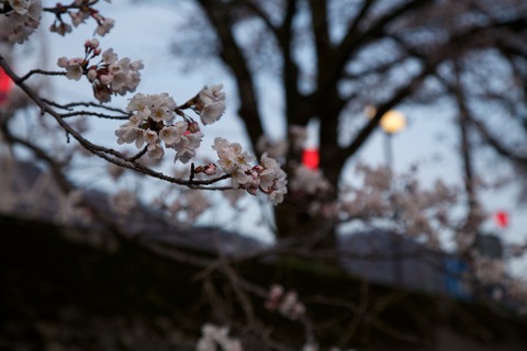 8M8A3902 - 2014-04-07 18-18-39