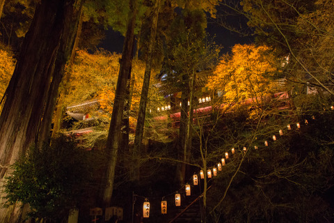 20151119-8M8A1483