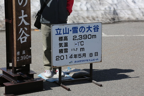 8M8A5918