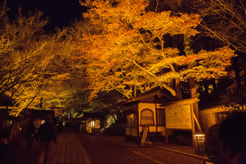20151119-8M8A1442