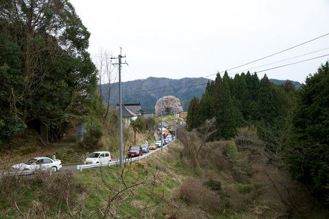 8M8A3823 - 2014-04-07 15-49-32