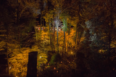 20151119-8M8A1498