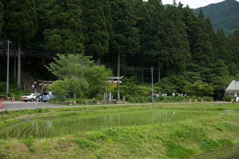 8M8A7830 - 2016-05-27 12-40-35