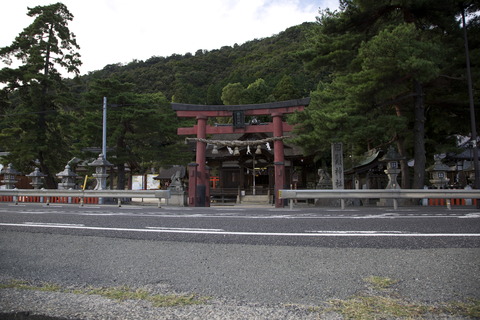 8M8A4697