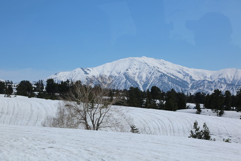 8M8A5804