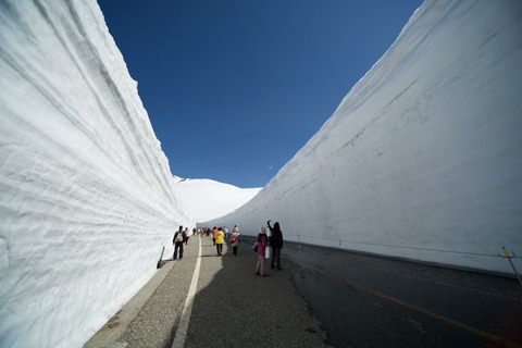8M8A6045 - 2014-05-08 14-25-15