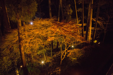 20151119-8M8A1576