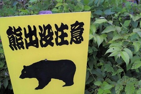 【動画】中国のクマ園ヤバすぎワロタｗｗｗｗｗ