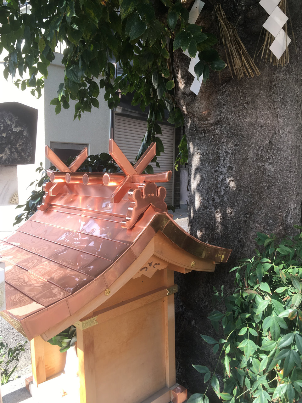 大阪市中央区玉造にある御神木「白光大神」 : 大阪どっかいこ！