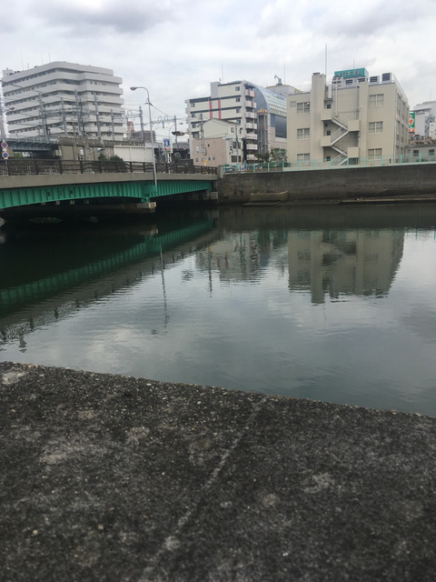 1128_11