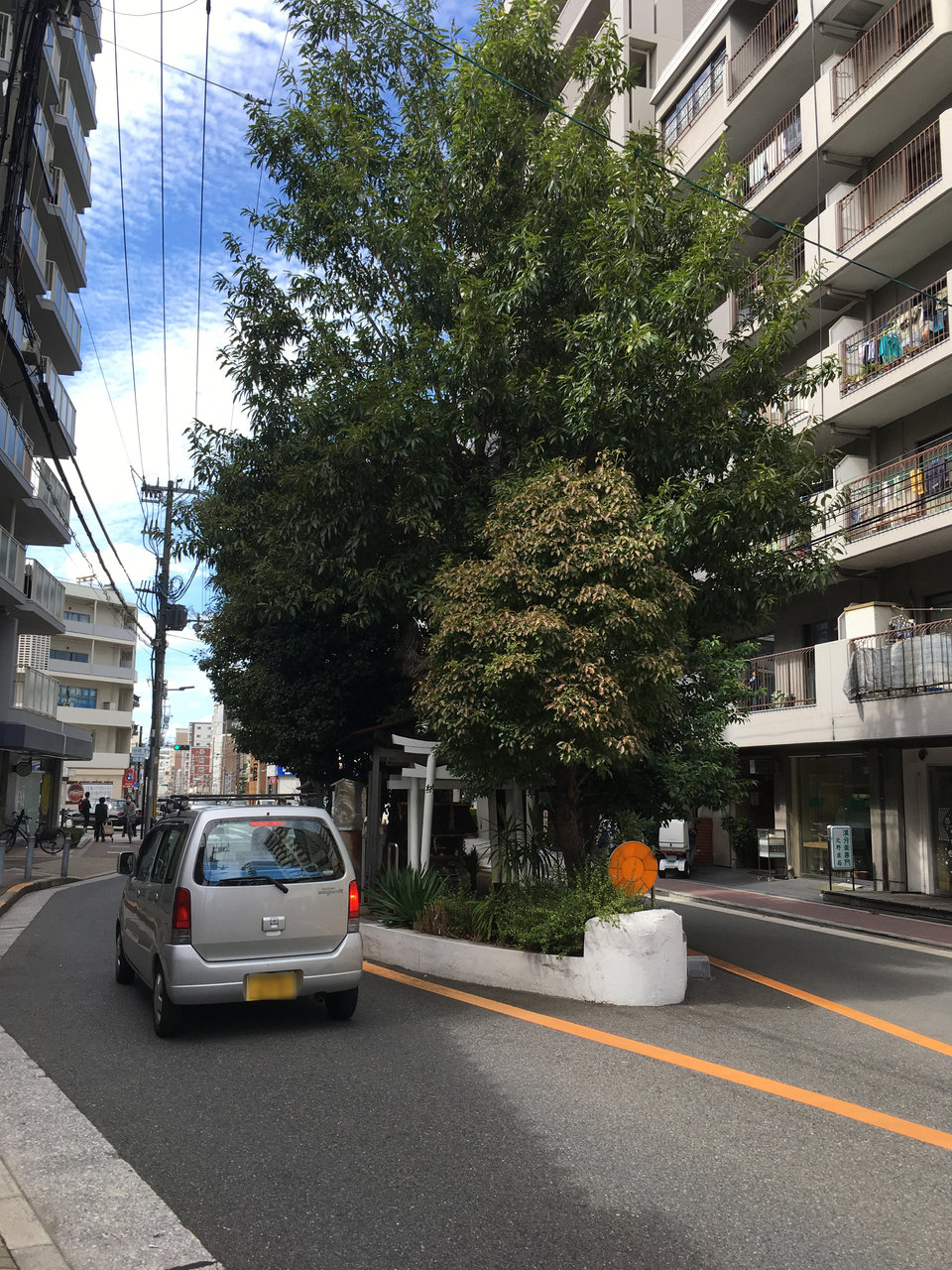 大阪市谷町七丁目にある 楠木大神 大阪どっかいこ