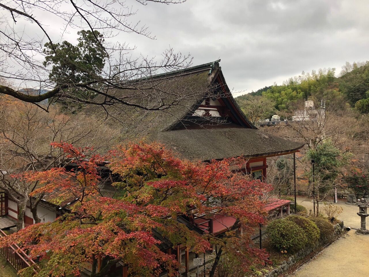 紅葉 もうそろそろしまいでんな 談山神社と明日香村 番外編 大阪弁 大阪文化同好会
