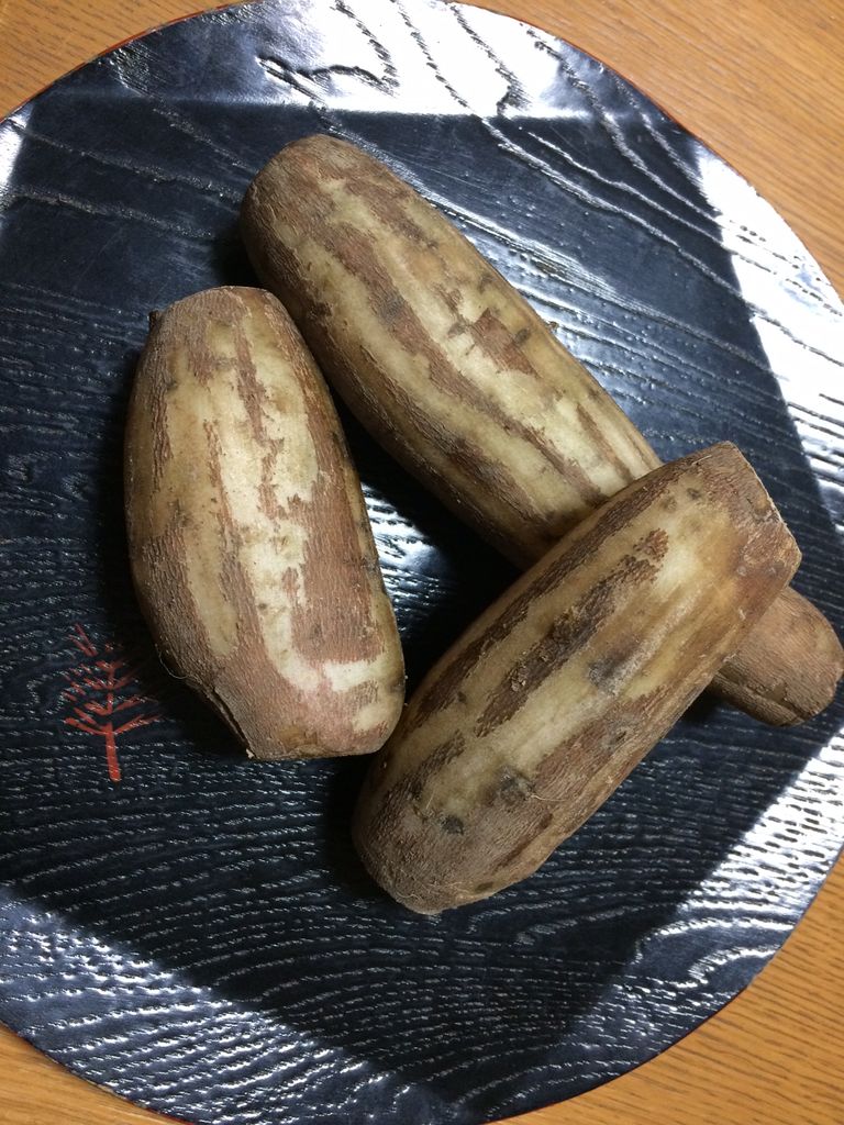 大阪弁クイズ Part 2 豊能町の名産品な 食文化 大阪弁 大阪文化同好会