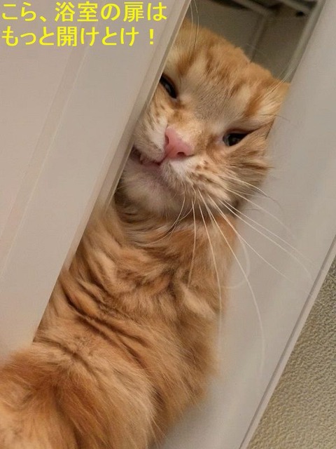 11192話題の妖怪ふろみたがり 2