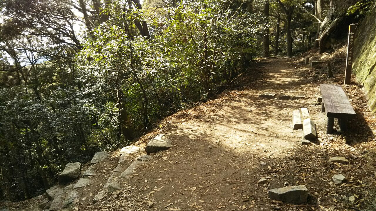 摩耶山 掬星台 青谷道 上野道 大阪の登山会です 摩耶山 掬星台 青谷道 上野道 大阪の登山会です