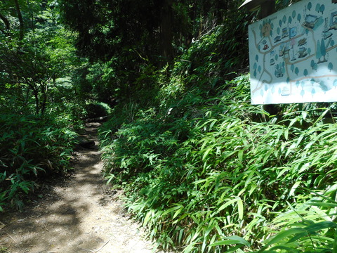 山頂~ロープウェイ駅山道