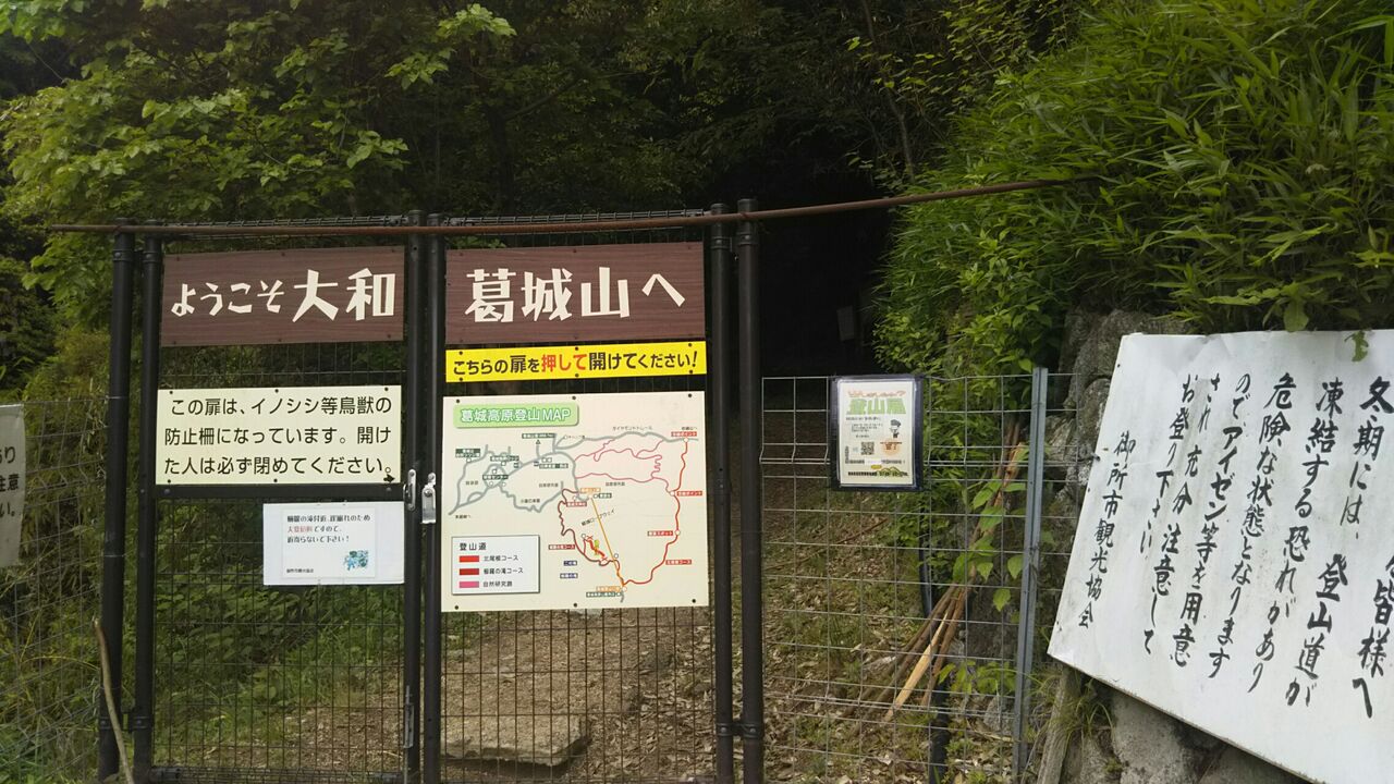 葛城山から金剛山へ 大阪の登山会です 葛城山から金剛山へ 大阪の登山会です
