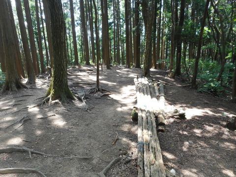 アナグマとババ谷の分岐