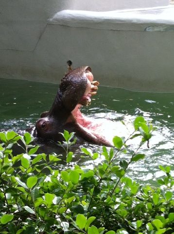 五月です みもっち 劇団ひまわり公演部 大阪 ブログ