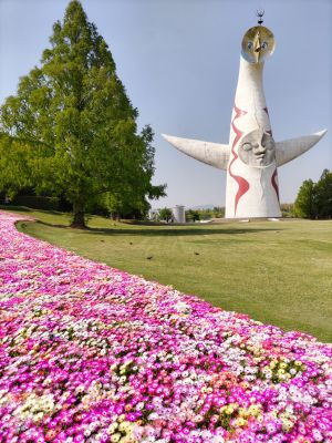DSC_0460 - コピー