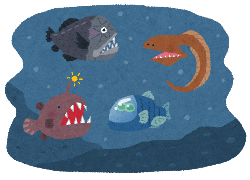 先生 深海魚は過酷な環境に適応するために特殊な進化を遂げたんや お魚まとめ 先生 深海魚は過酷な環境に適応するために特殊な進化を遂げたんや お魚まとめ