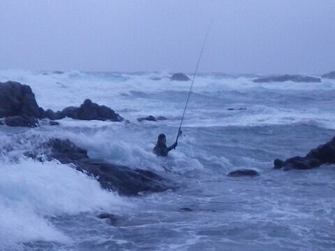 茨城の鹿島港で巨大魚が釣れまくっていると話題に お魚まとめ