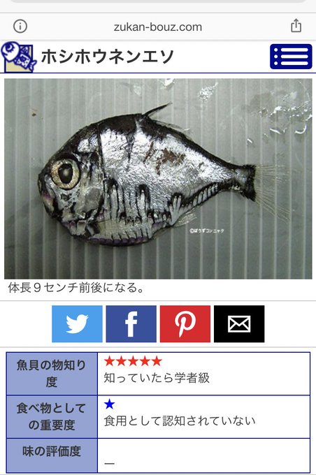 気持ち悪すぎる深海魚が釣られる お魚まとめ