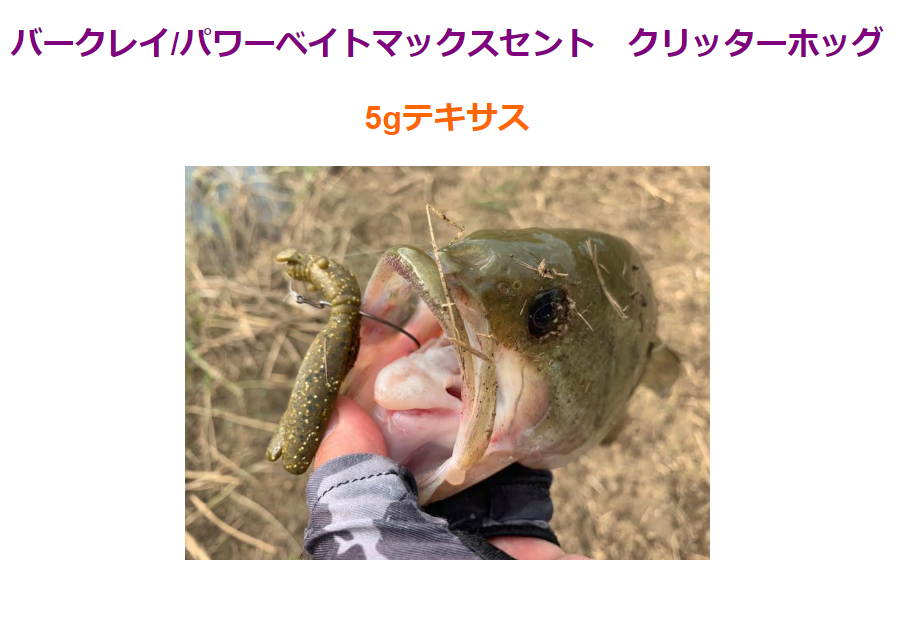 釣れないルアー ワームを書くスレ お魚まとめ