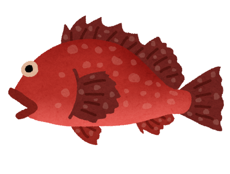 魚釣り行ってきた お魚まとめ