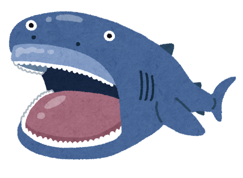 幻のサメ 生きたメガマウス 東京湾の沖合に 専門家 生きた姿をここまで鮮明に捉えた映像はとても珍しい すらいむ お魚まとめ