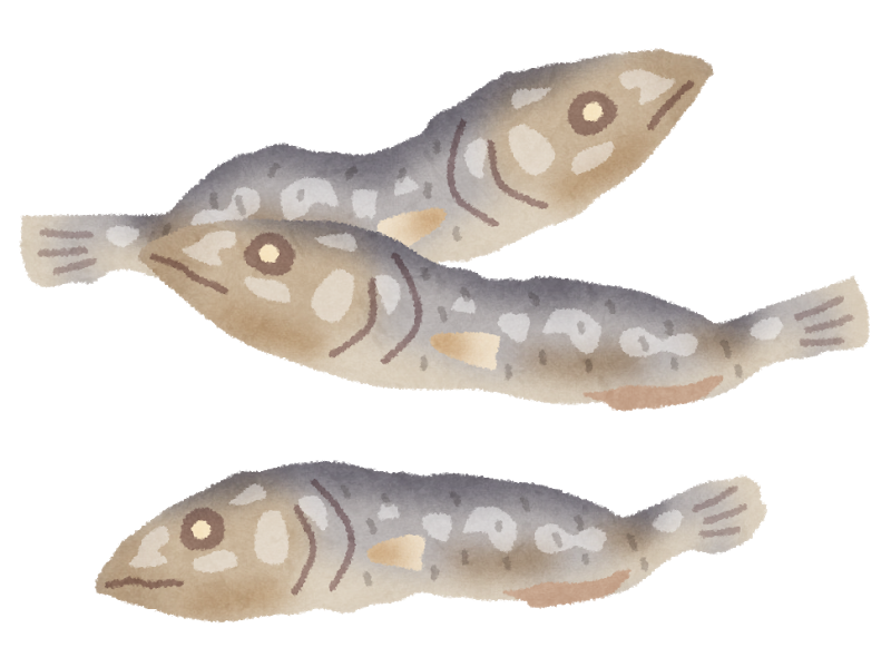 悲報 煮干し買ったらフグ入ってた お魚まとめ