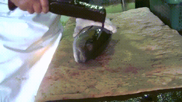 釣り人 よっしゃ 魚釣れたで あとは脳をグリグリして終わりや w これ お魚まとめ 釣り人 よっしゃ 魚釣れたで あとは脳をグリグリして終わりや w これ お魚まとめ