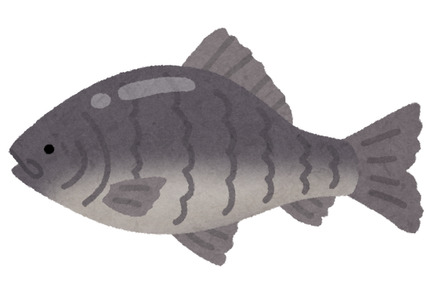 バスがだめならフナをルアーで釣ろうぜ お魚まとめ
