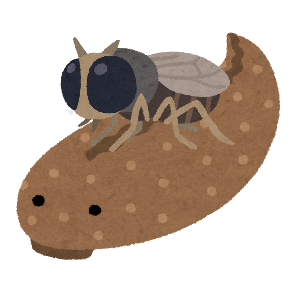 ワイ 渓流釣りに興味が湧くもブユとヒルが怖すぎて泣く お魚まとめ