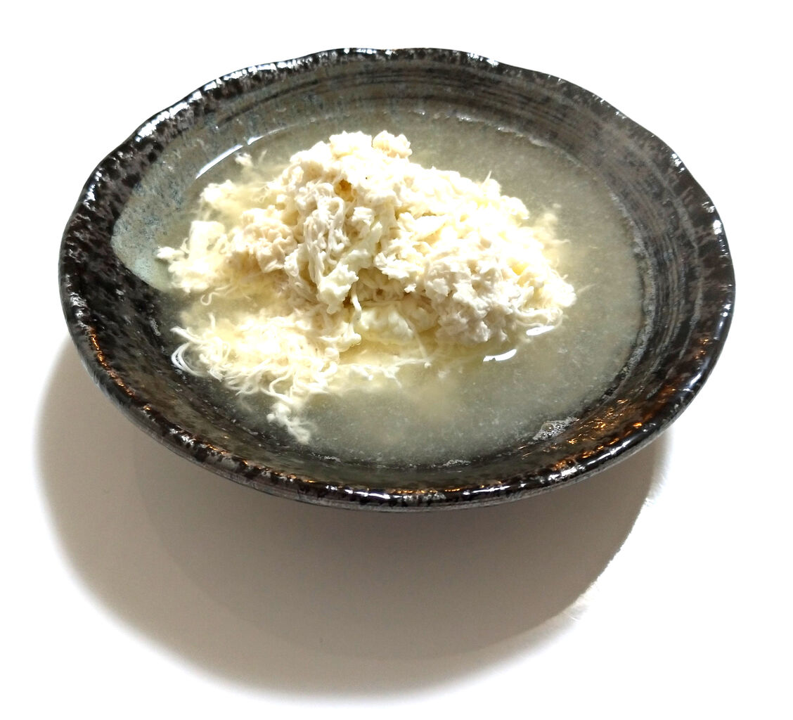 0043 アブラツノザメのタマゴの巻 目指せ海の完全制覇 O