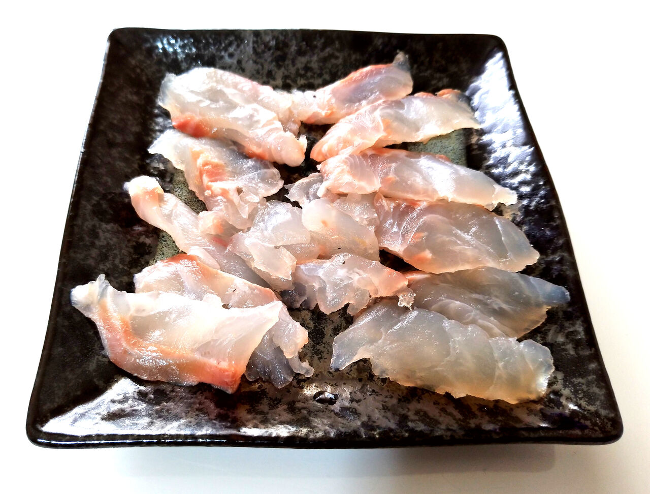 0023 メジナの巻 目指せ海の完全制覇 O 0023 メジナの巻 目指せ海の完全制覇 O