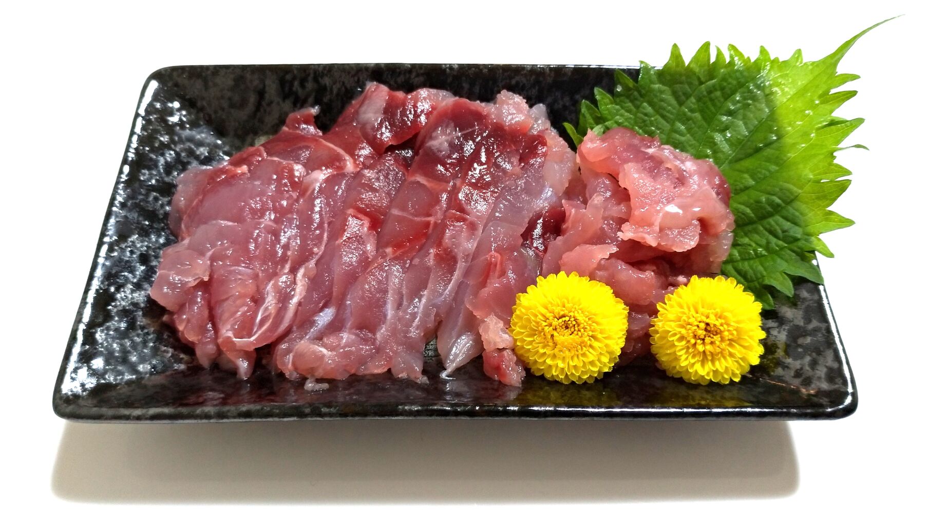 0077 ハチビキの巻 目指せ海の完全制覇 O