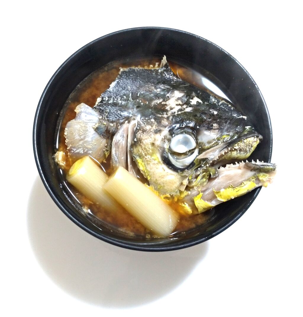 0075 シイラの巻 目指せ海の完全制覇 O