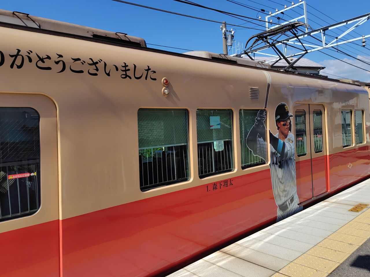 阪神8000系】優勝記念ラッピングトレイン（8226-8225編成車） : 鮮魚