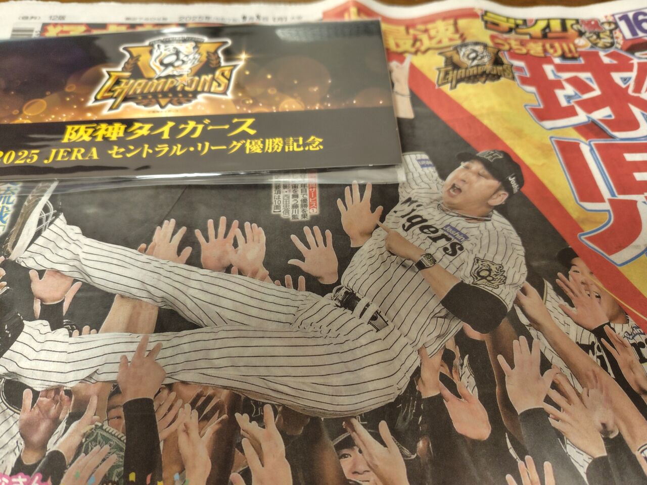 2025 阪神タイガースJERAセントラルリーグ優勝記念6駅入場券セット