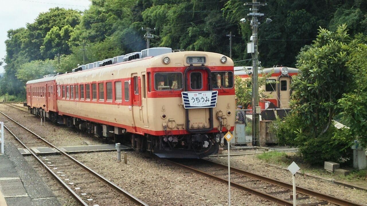 旅行記 いすみ鉄道 レストラン キハ キハ28 2346 鮮魚特急 ボックス席