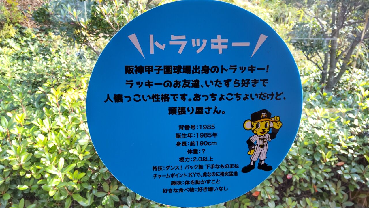 阪神5500系 トラッキー号 鮮魚特急 ボックス席 阪神5500系 トラッキー号 鮮魚特急 ボックス席