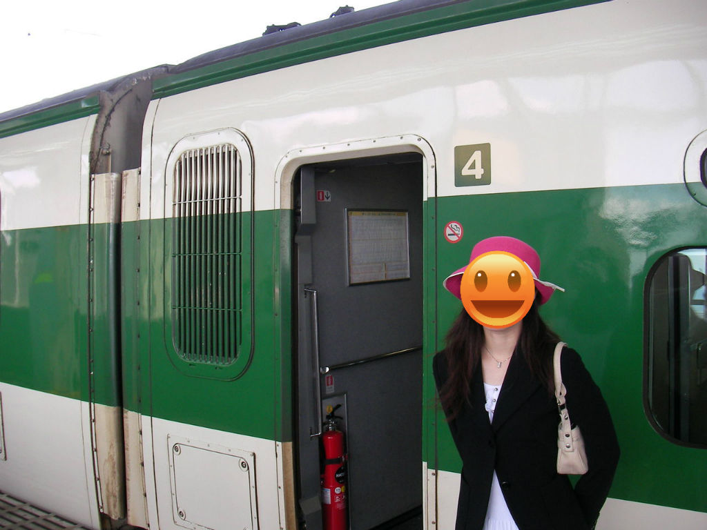 200系 JR東日本 東北新幹線 上越新幹線 たにがわ あさひ なすの 1本物 200系 JR東日本 東北新幹線 上越新幹線 たにがわ あさひ なすの