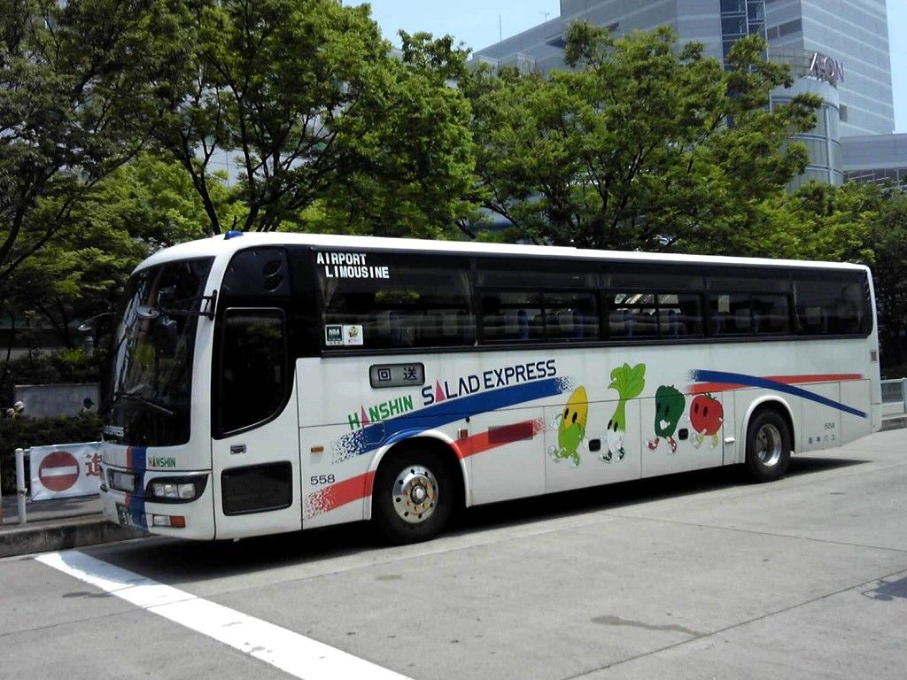 イメージ 8
