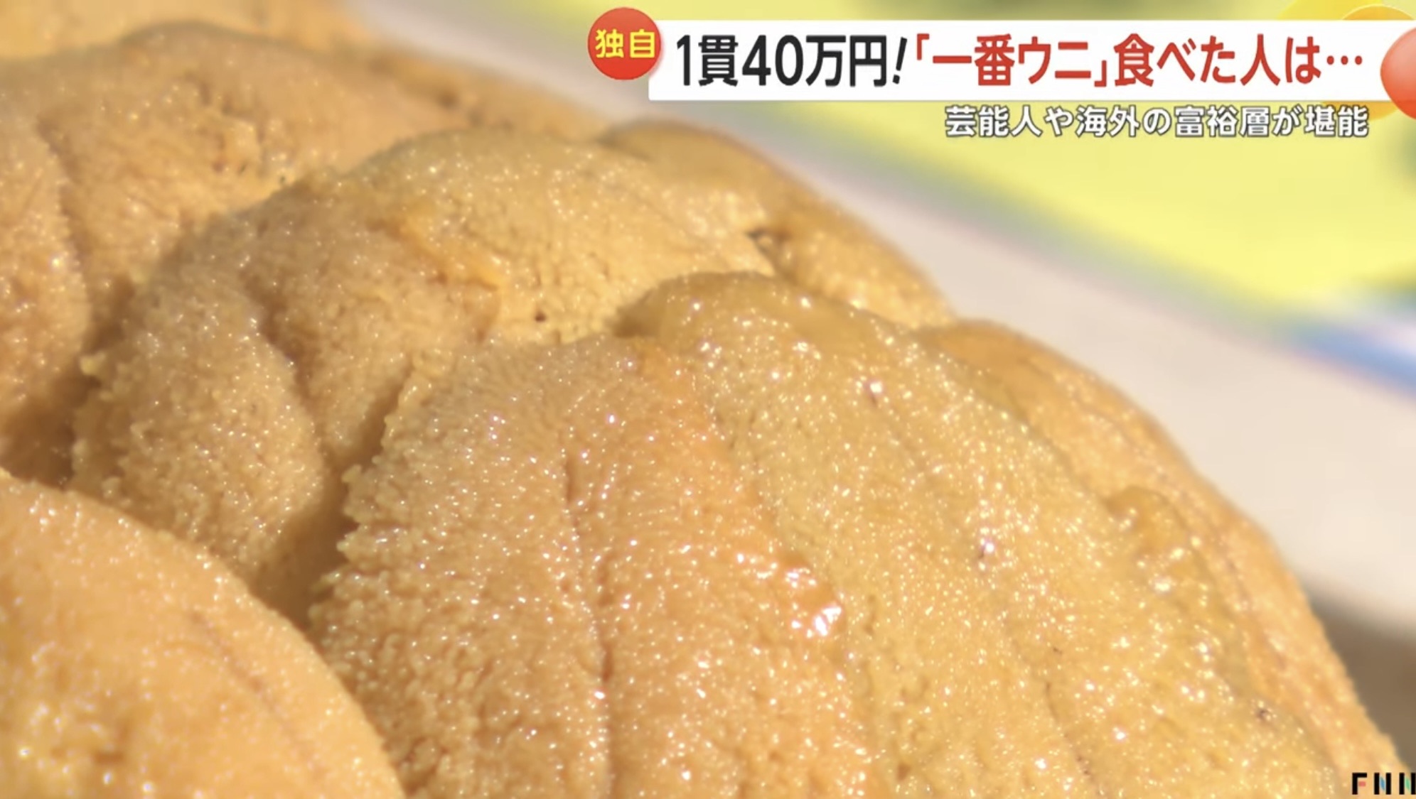 初物（店長）【大阪梅田ゲイ,女装マッサージ売り専ルート６６BOY日記】